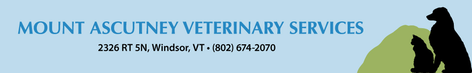 Mount Ascutney Veterinary Services